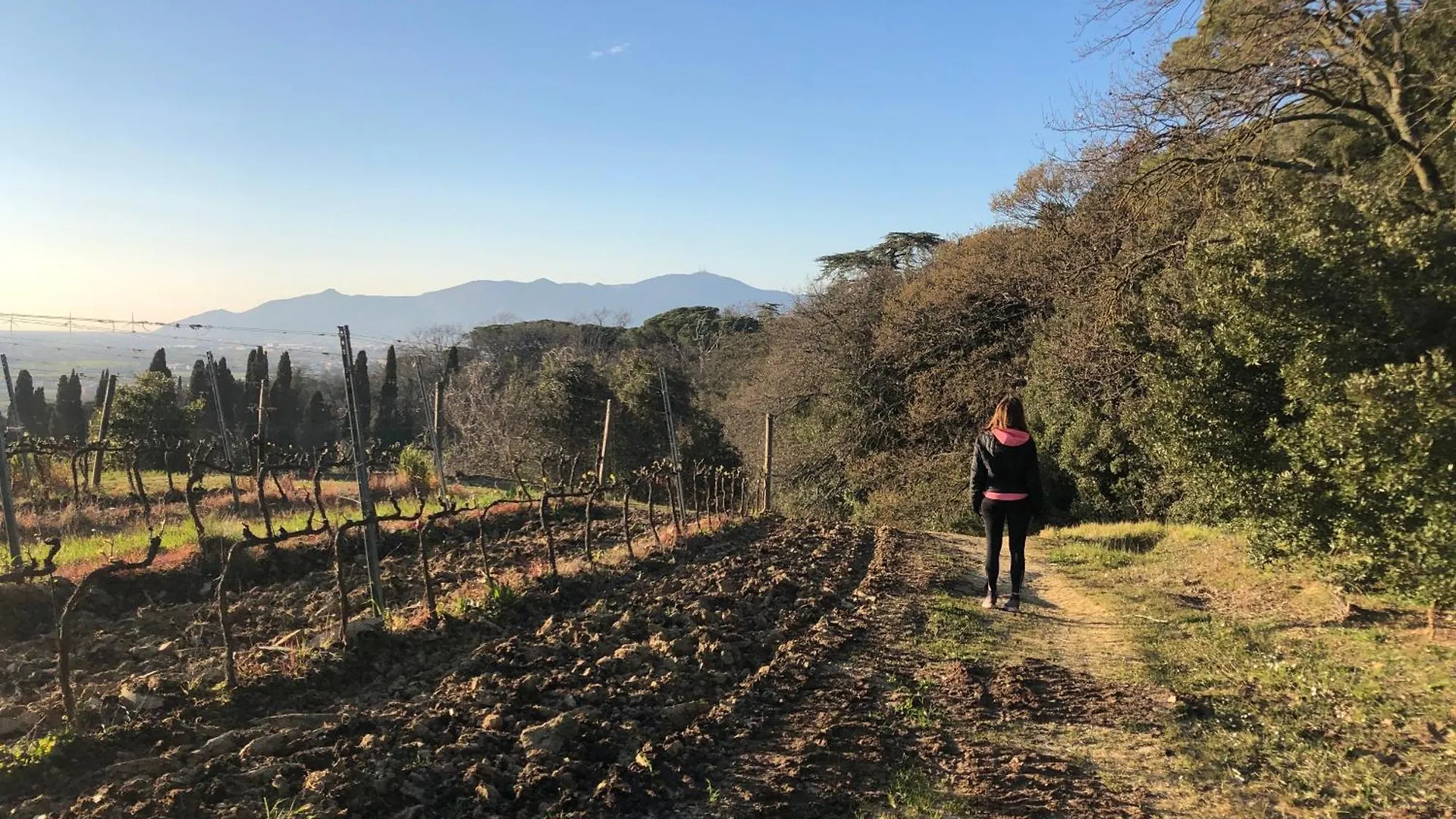 Appartement Desideri Tuscany House Treggiaia